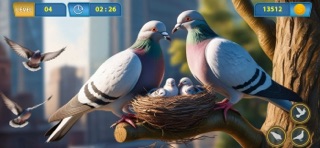 Pigeon Bird Flying Games 3D screenshot