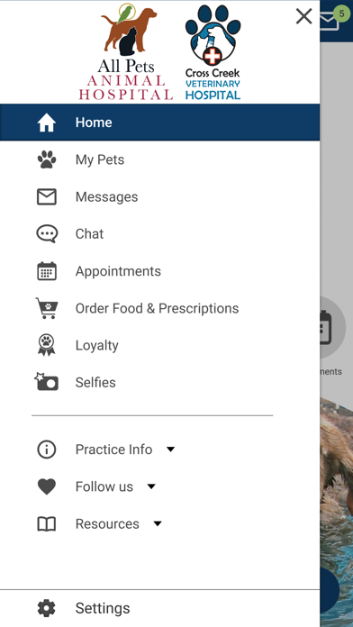 Cross Creek Vet Hospital Screenshot