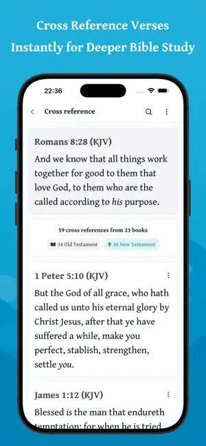 Daily Bible - Offline & Audio screenshot 4