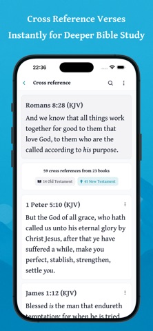 Daily Bible - Offline & Audio screenshot 4