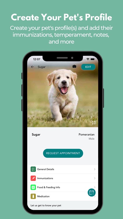 Tail Waggers Pet Spa