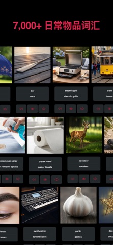 oto: American English screenshot