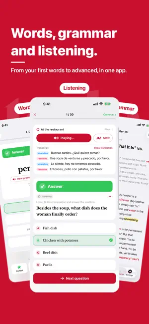 Spanish Grammar & Vocab Master screenshot 1