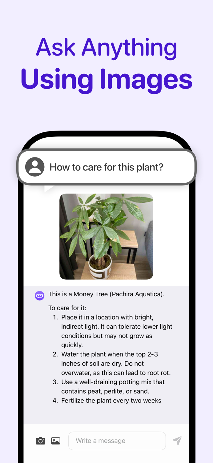 ChatAsk - AI Assistant