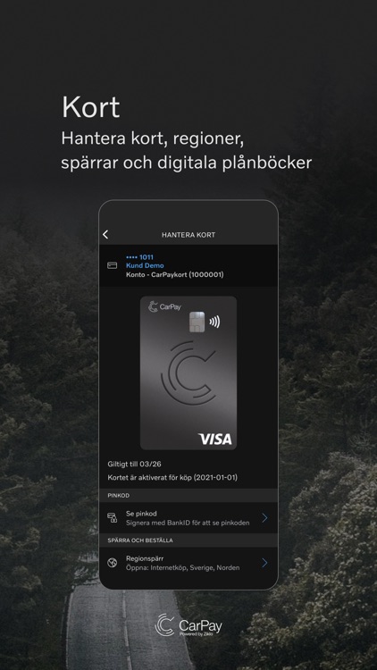 CarPay screenshot-5