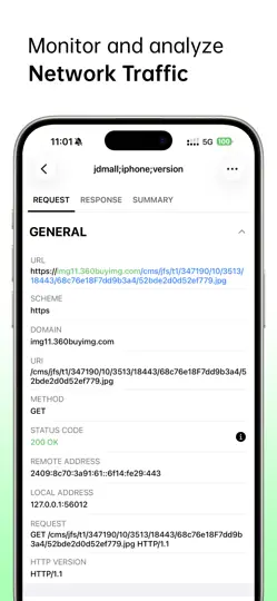 Screenshot von Network Sniffer auf dem iPhone 2