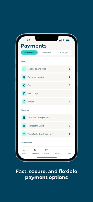 TeamPay Screenshot 2 of 5