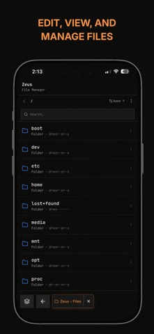 Termix - Remote Access screenshot