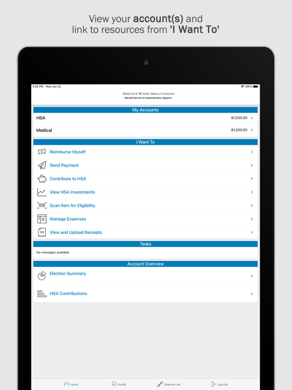 MoneyWise Solutions, Inc. iPad screenshot 1 - Finance app