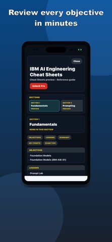 IBM AI Practice Test Screenshot 4 of 8