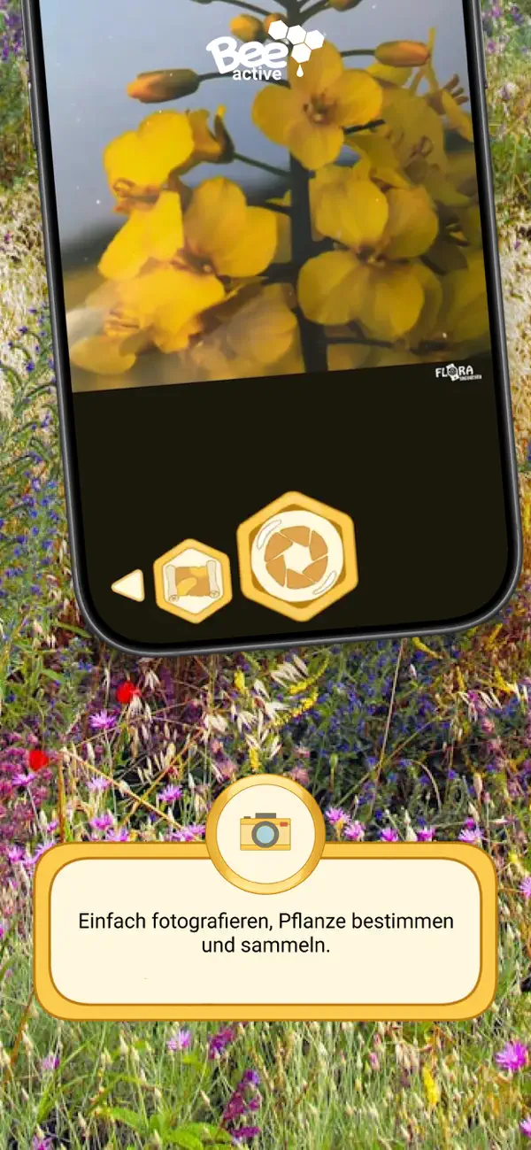 Screenshot #3 pour BeeActive