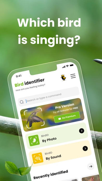 Screenshot #1 pour Bird ID: Bird call identifier