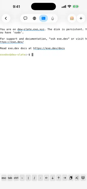 exe.dev iPhone screenshot 3
