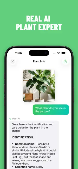 Plant Identifier: Care screenshot 2