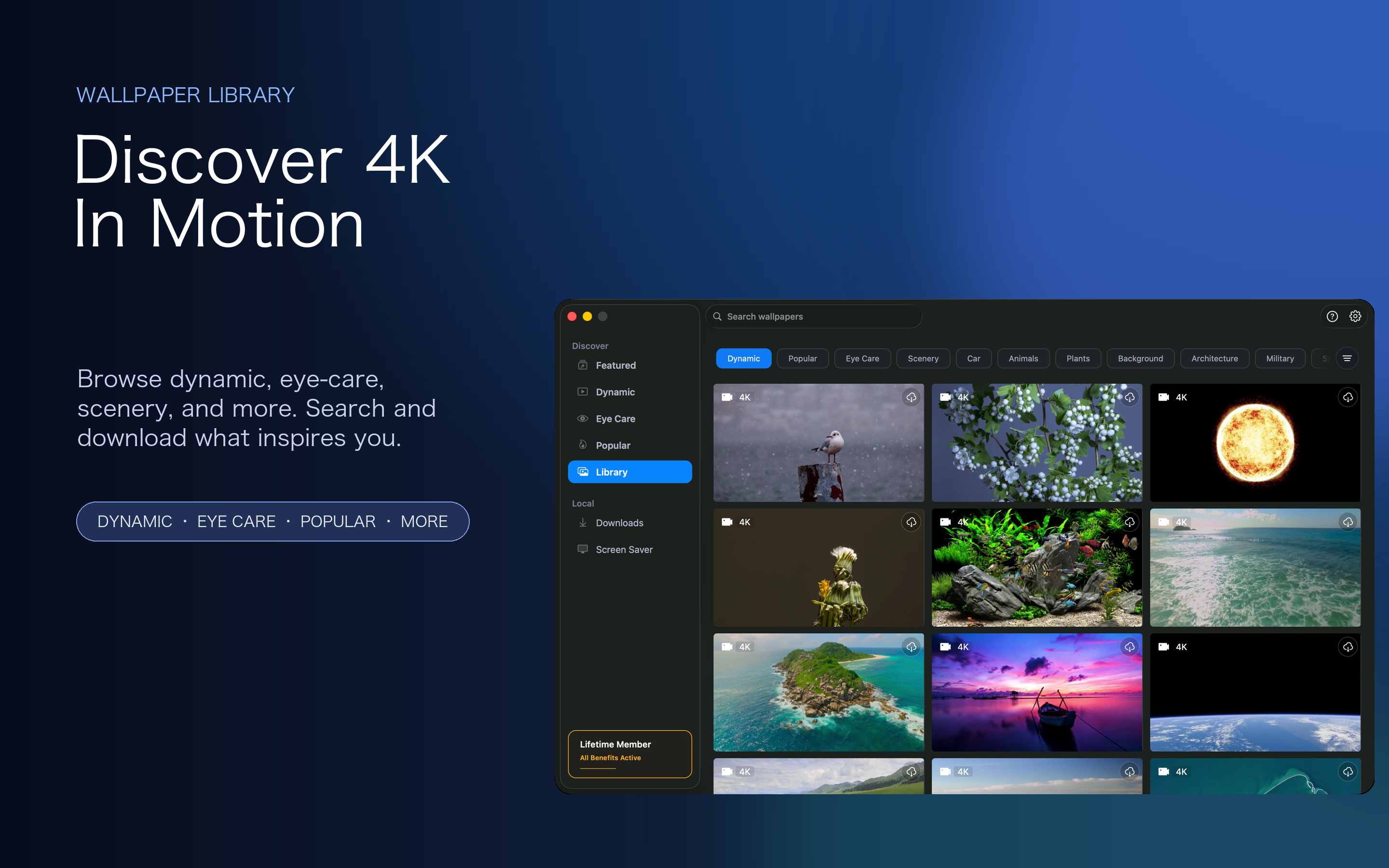 iWallpaper - 4K 8K Screens screenshot 10