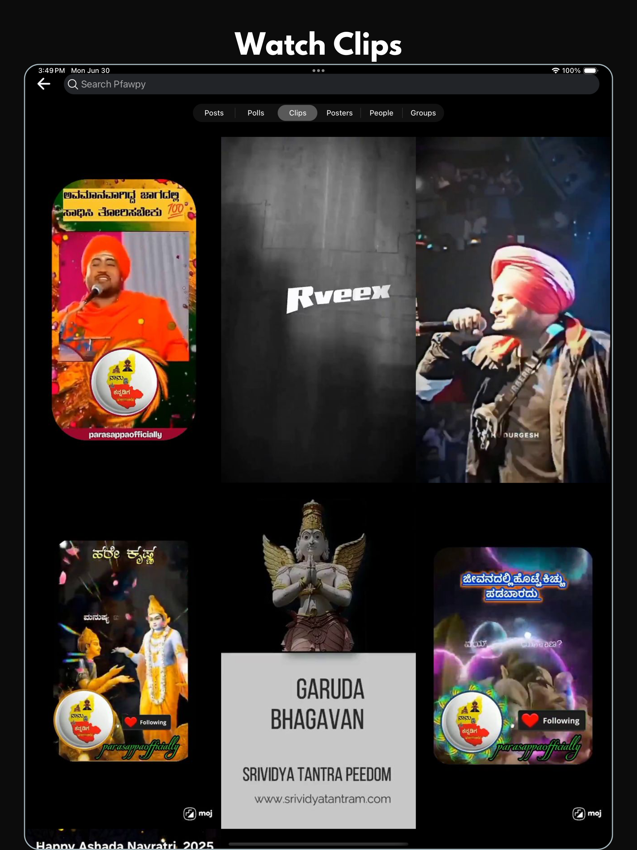 Pfawpy screenshot 13