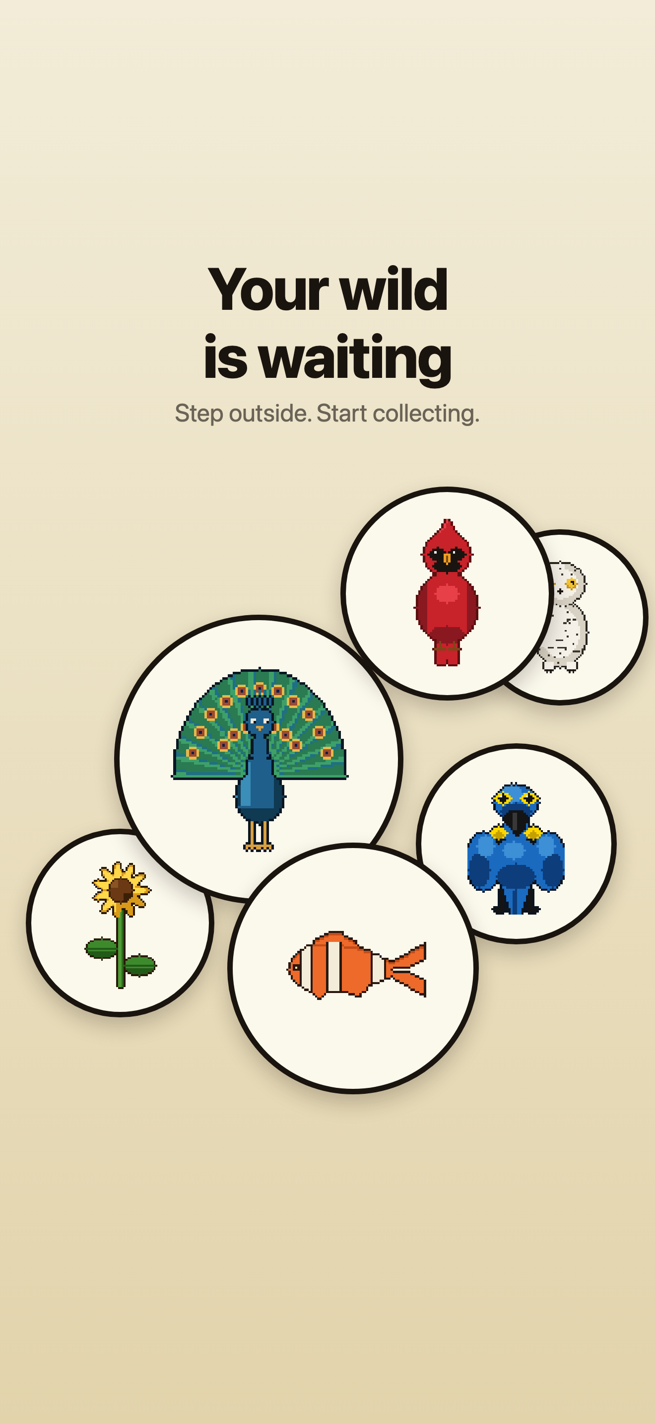 Pixel Wild: Nature Discovery