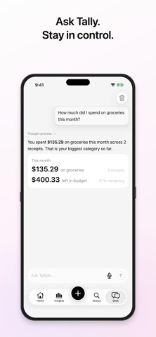 TallyAI - Private Budgeting Screenshot 4 of 9