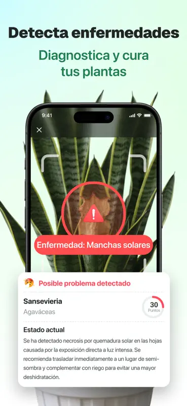 PlantSense：Identificar plantas screenshot 2 of 5