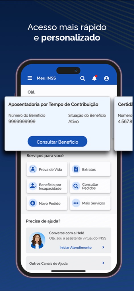 Meu INSS - Central de Serviços - Dynamic Benefit Overview