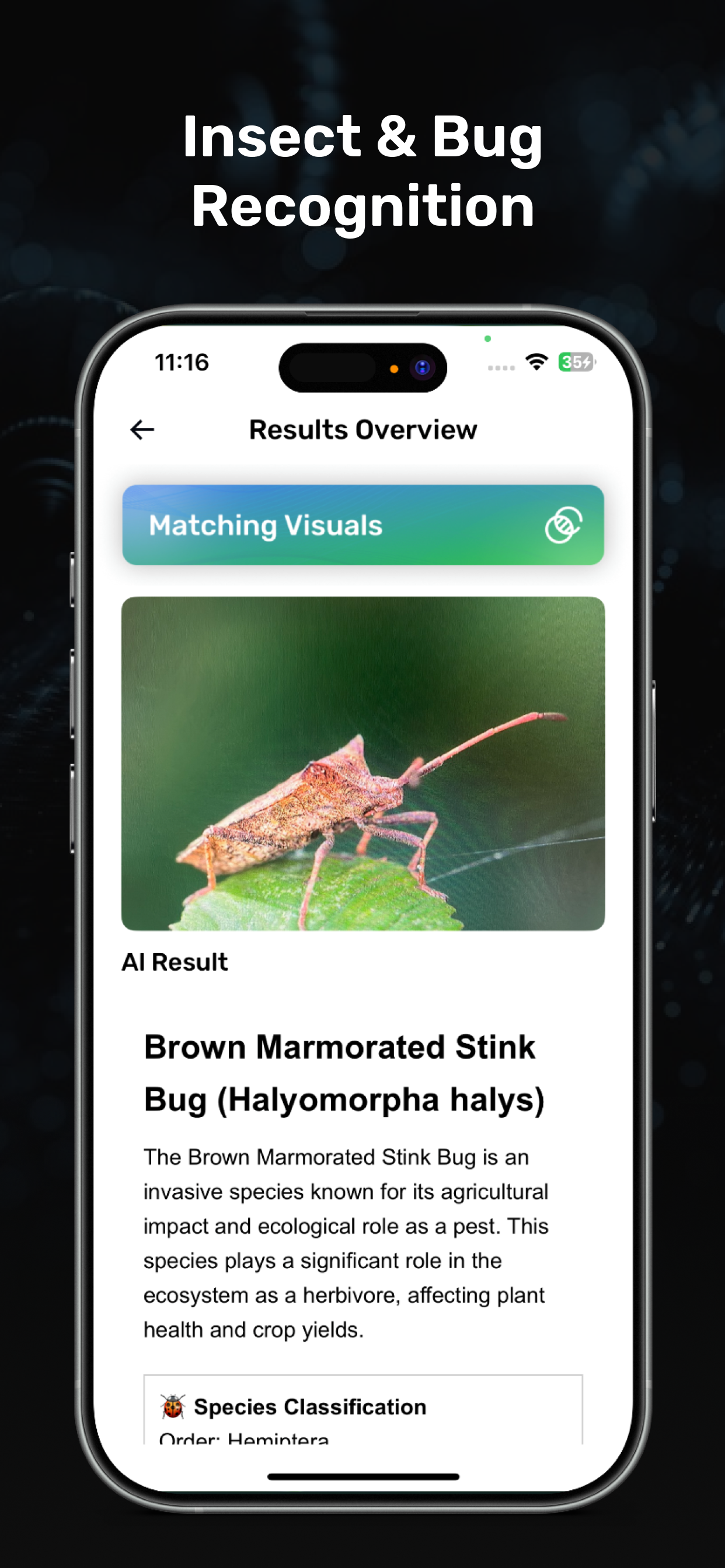 Visual Lens AI : Snap & Search