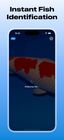 Fish Identifier: Finni Screenshot 1 of 4