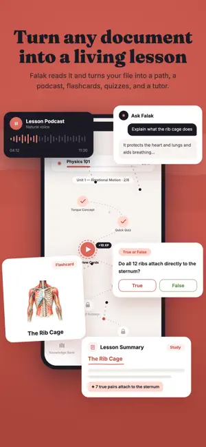 Falak AI: More Than Flashcards screenshot 1