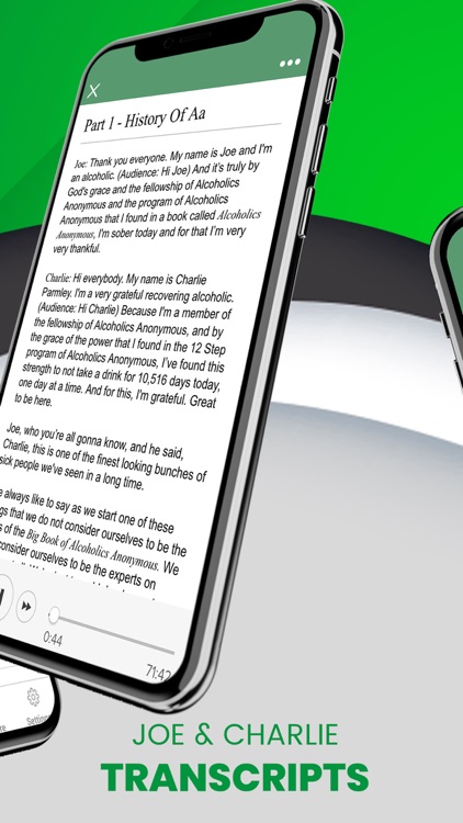 AA Joe & Charlie Big Book Work