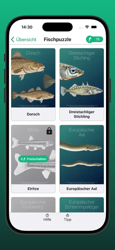 Fischer Lernfragen NRW screenshot 9 of 10