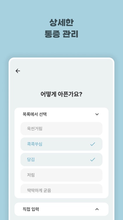 통증일기