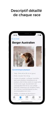 Les chiens - Races & conseils screenshot 2