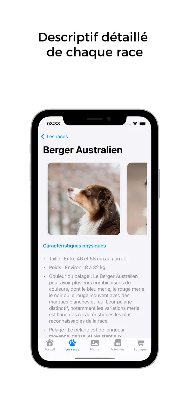 Screenshot #2 pour Les chiens - Races & conseils