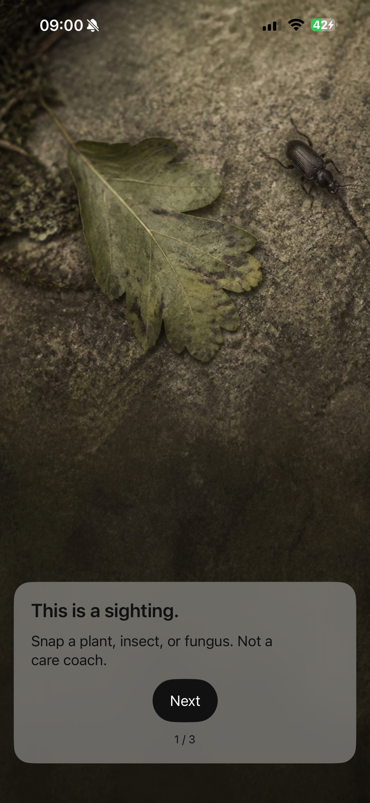 Screenshot 5 of BractAI: Plant Field Log