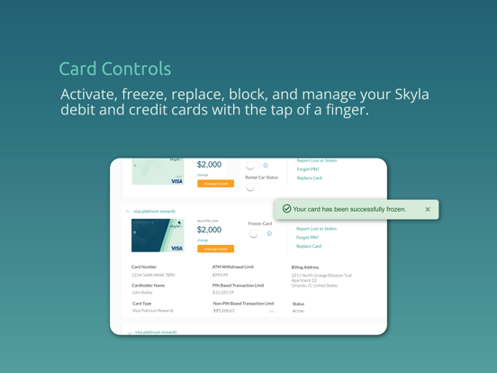 Skyla Mobile iPad screenshot 4 - Finance app
