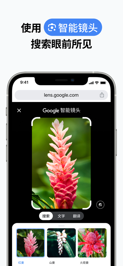 Google Chrome 的 App Store 截图 2