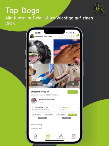 Top Dogs - Hundeschule iPad screenshot