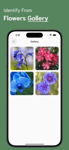 Flower Identifier - FI iPhone screenshot