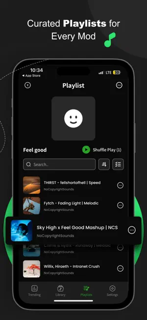 Spotube – Offline Music Player screenshot 4