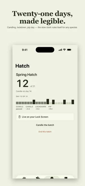 Flockora: Backyard Chickens screenshot 4