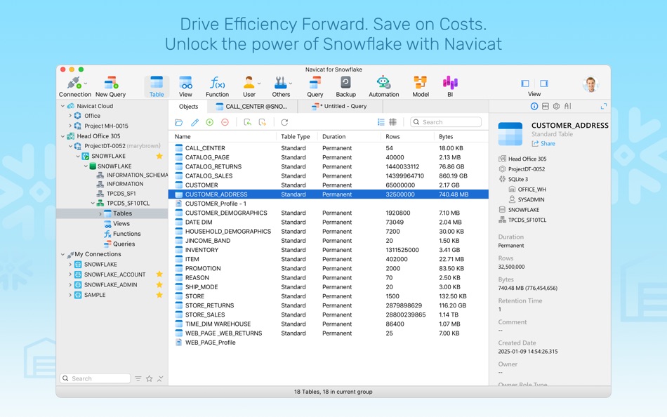 #1. Navicat 17 for Snowflake (macOS) بواسطة: PremiumSoft CyberTech Ltd.