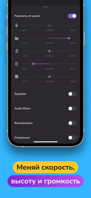 Убрать голос из песни, музыку iPhone screenshot 5