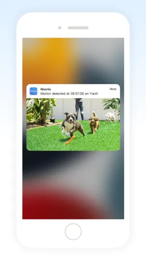 Noorio screenshot 4