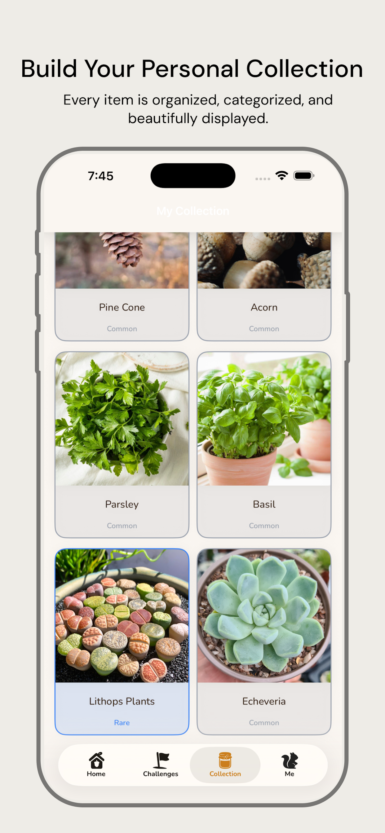 The Nutbook screenshot 4