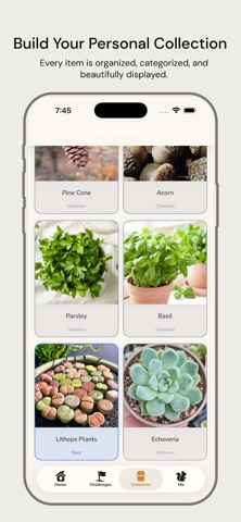 The Nutbook iPhone screenshot