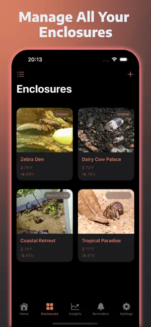 CrabPod: Hermit Crab & Isopod screenshot 1