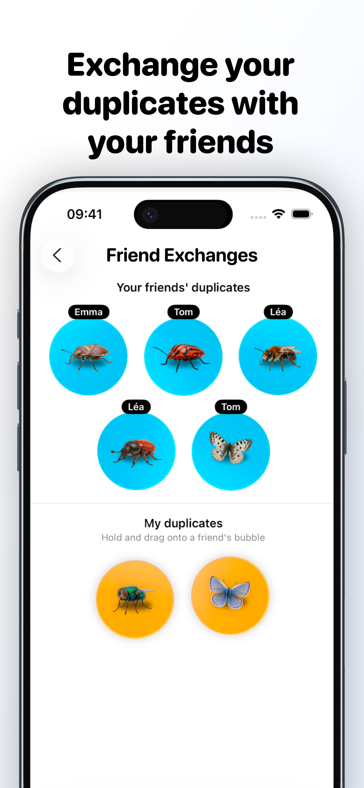 Bugsy – Collect Insects