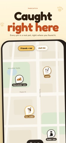 PawCatch Screenshot 6 of 10