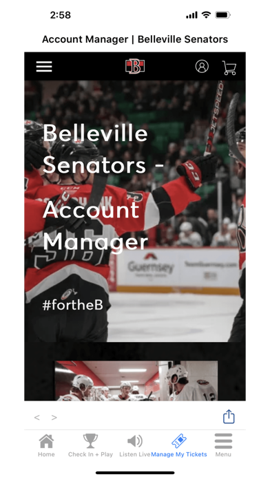 Belleville Senators Screenshot