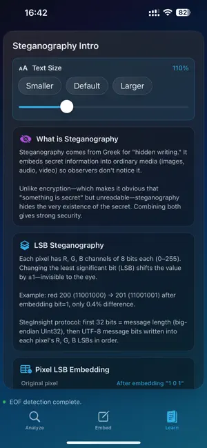 StegInsight screenshot 4
