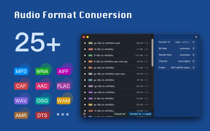 Audioer: Convert Audio Formats app screenshot